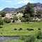 Colorado Countryside
