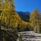 Gravel Road into Cottonwood Lake