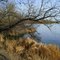 Castle Pines pond