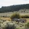 old homestead in the Rio Grande National Forest