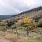 Fall in the Rio Grande National Forest