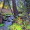 Big Springs Campground - Rio Grande National Forest
