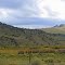  Rio Grande National Forest