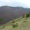 Kinney Creek Drainage looking NW at Elk Mountain