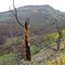 Elk Mountain SW end