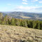 Looking south