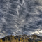 Fall Spectacle