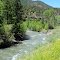 Clover along the San Miguel River