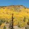 Hills of Gold  decorate Volcanic Fields