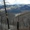Haflin Canyon From the Top