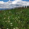 Vail, Colorado