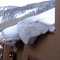 Record Snow