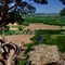 Gnarly cedar and stunning view from Gibralter Rock near Lodi, WI