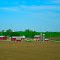Wisconsin Dairy Farms