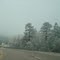 nature in colorado