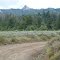 Castle peak from horse mountain road