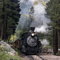 Silverton Durango RR pulls into Needleton