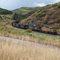 UP Coal Train along Hwy 131