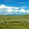 Cowboy resting near Hwy 131, Colorado