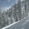 McGill Trail bowl