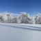 Snow on Mt Pinos