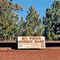 Los Padres Nat. Forest / Mount Pinos