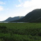 highland