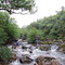 McDougalls Brook