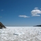 Sea Ice From Tappers Cove Wharf