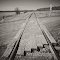 Level Crossing