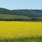 Near Dawson Creek 2012