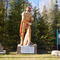 Voyageur Statue of Crane Lake