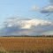 Fall shower near Athelstan