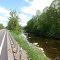 Trout River