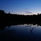 Lake In the Swamp 2