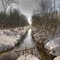 Greenock Swamp South