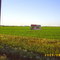 Earlton,Ontario,Canada