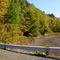 Near Digby Fall 2008