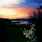 Digby Sunset