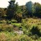 Proudfoot Tract