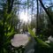 beauty in abundance by nature, rivalled by my love Nell .... -lew