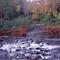 Autumn in the Arrowhead Park, Canada
