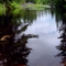 Algonguin Provincial Park, Canada