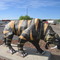 A Fierce Sabre Toothed Tiger Ready to Attack in Drumheller, AB