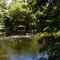 The Trout Pool, Carleton