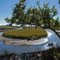 A tidal creek bends back on itself
