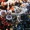 Frost on tundra plants, Patch Lake, Nunavut