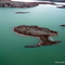 An island (head profile) on Patch Lake, Nunavut, Canada