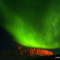 Northern Lites over Doris Mesa on a cold winter night