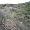 The Rugged, Rocky Desert Near East Coulee And Drumheller AB Sep '08